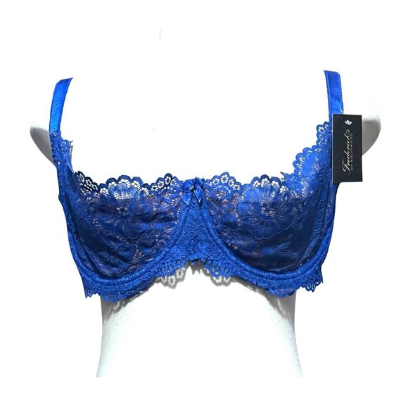 Fredericks of Hollywood NWT Sandie Demi Underwire Lace Bra Sz 42D Blue & Beige - Picture 1 of 15